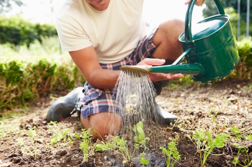 Free quote assessment for a mature tree in a local garden