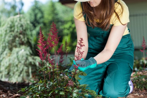 Tree inspection findings and maintenance recommendations discussed on site