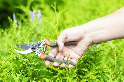 Arborist performing safe tree surgery work in a residential garden