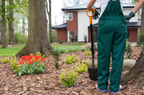 Careful tree pruning on a commercial site to improve clearance and appearance